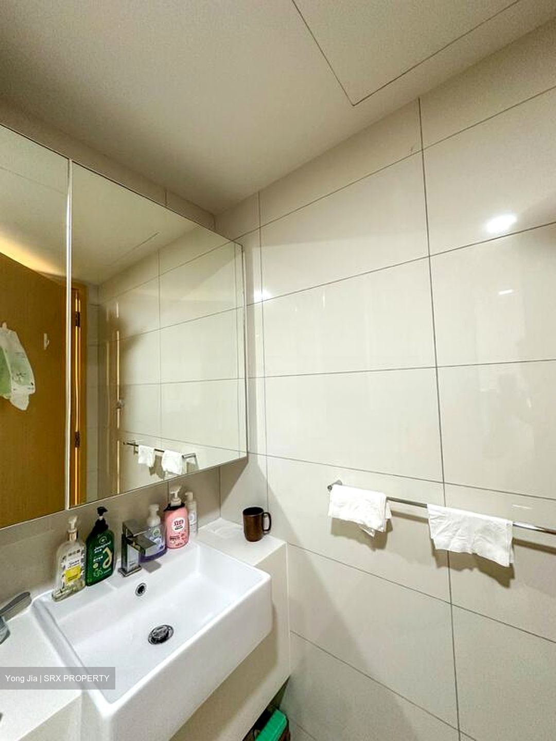 Eight Riversuites (D12), Condominium #506123721